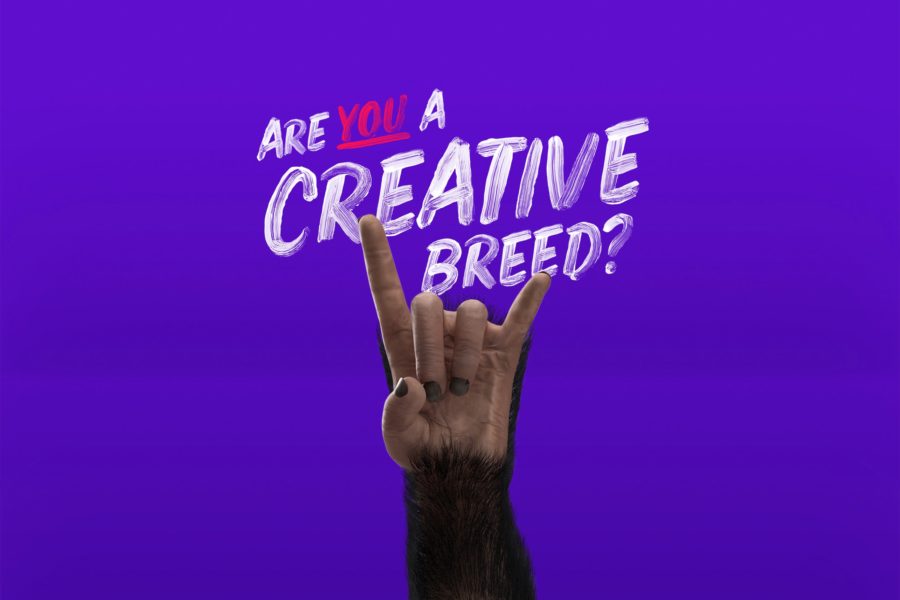 creative breeds