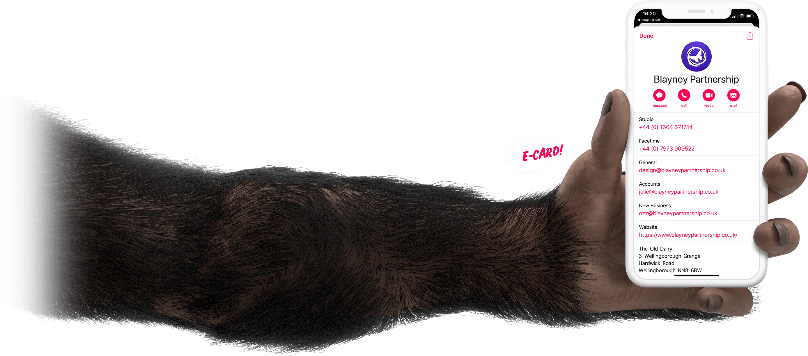 mascot arm preview