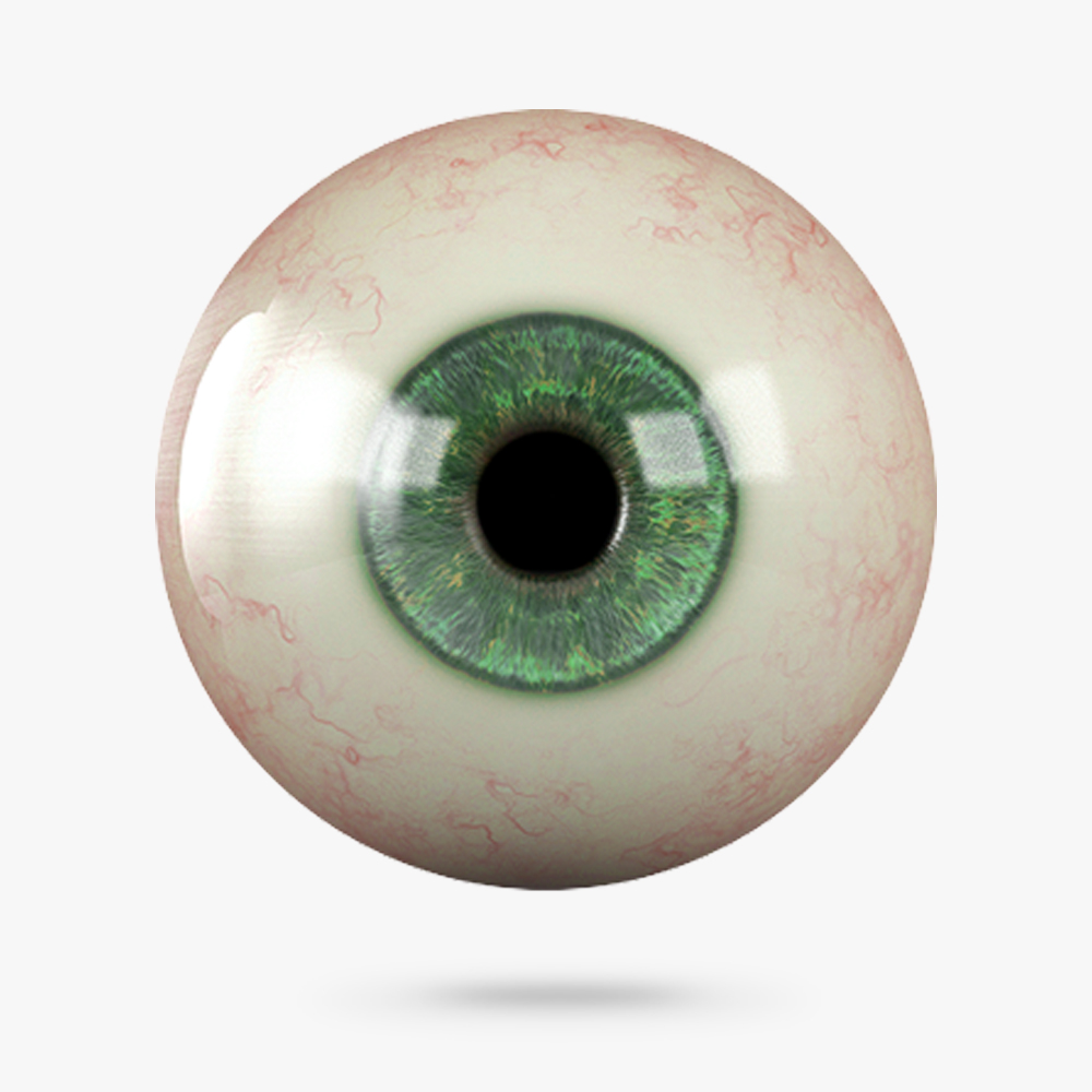 eyeball