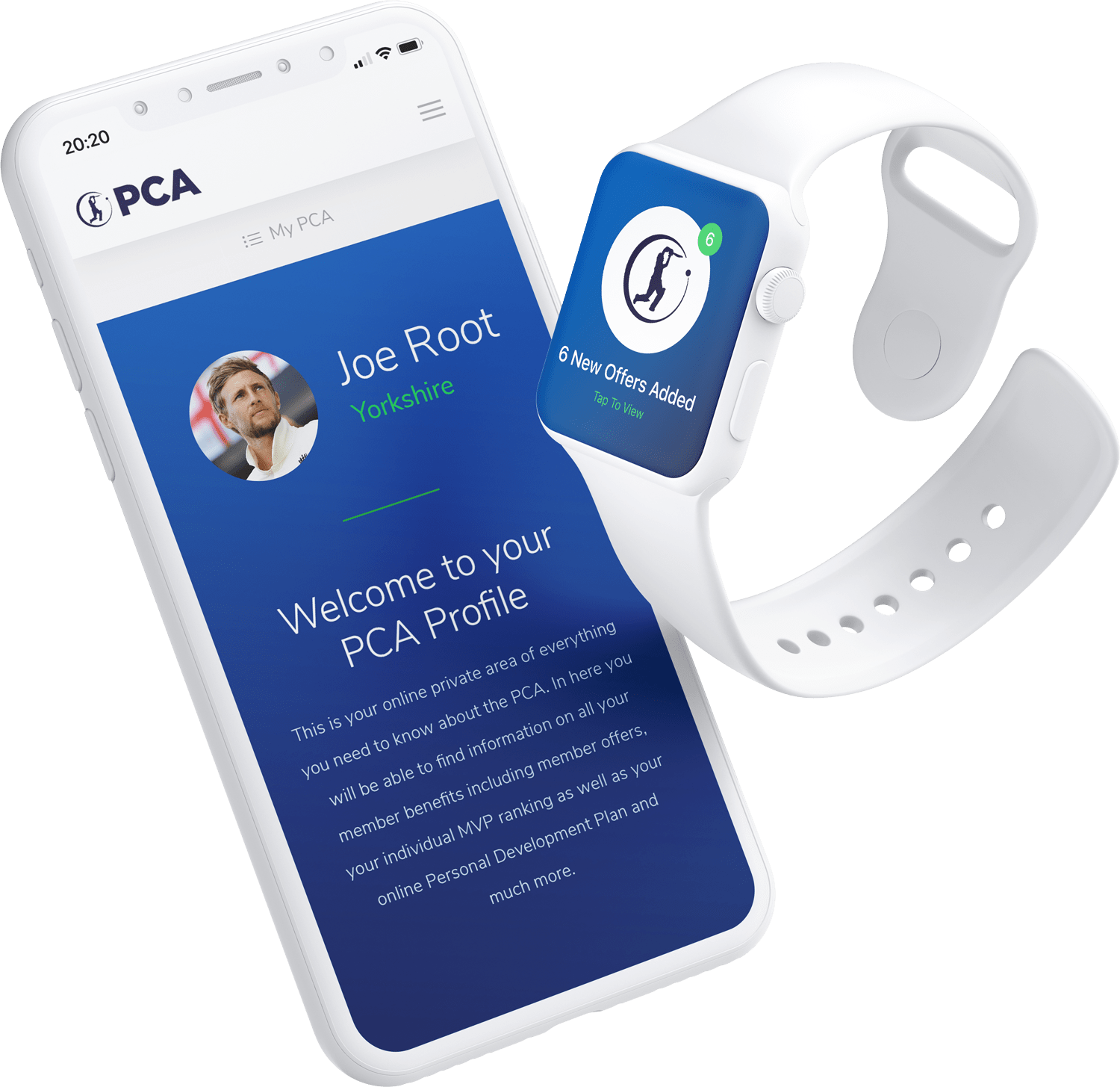 pca player profile