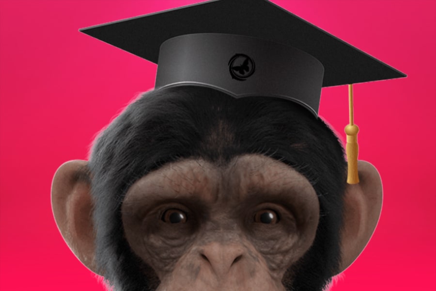 mascot graduation