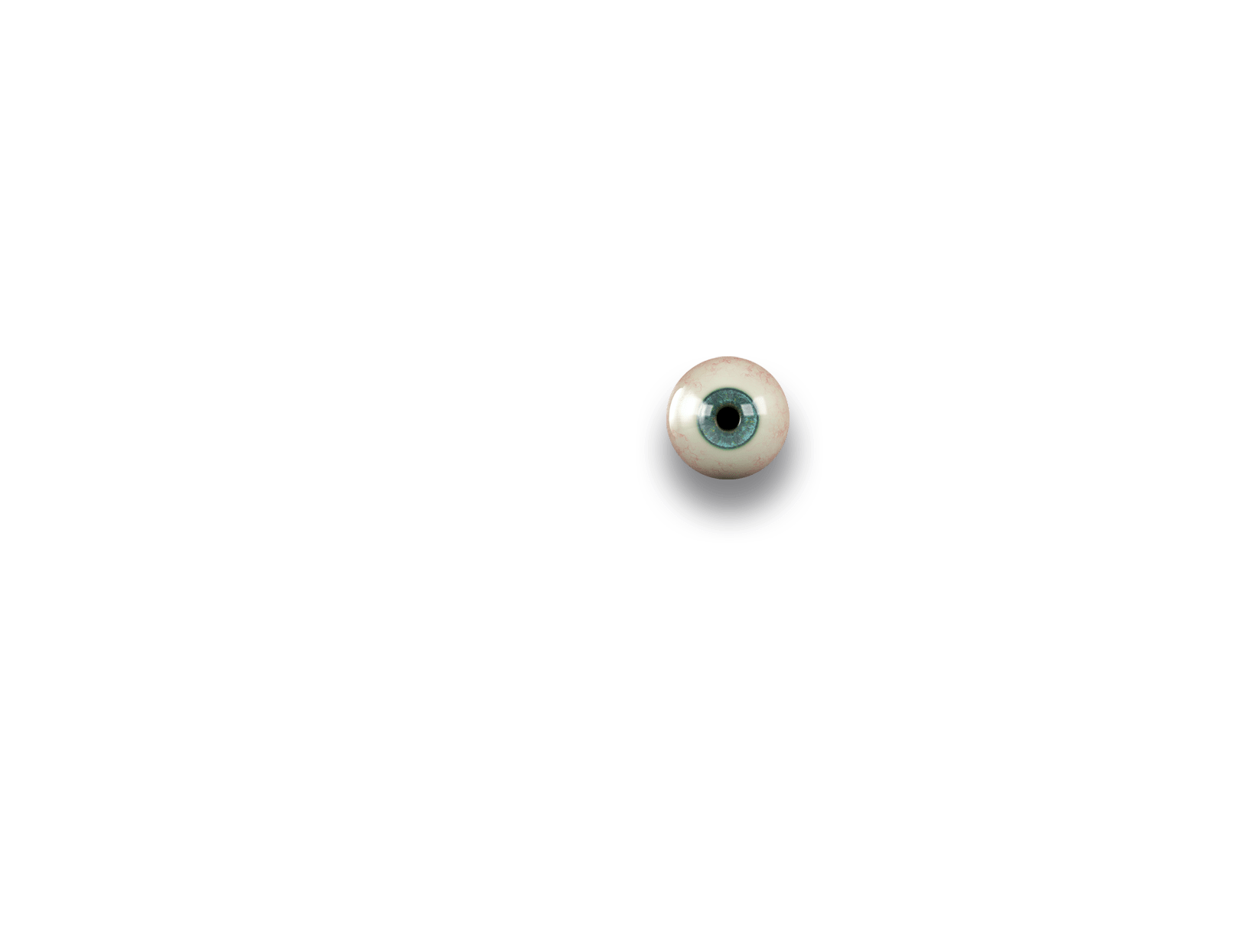 eyeball