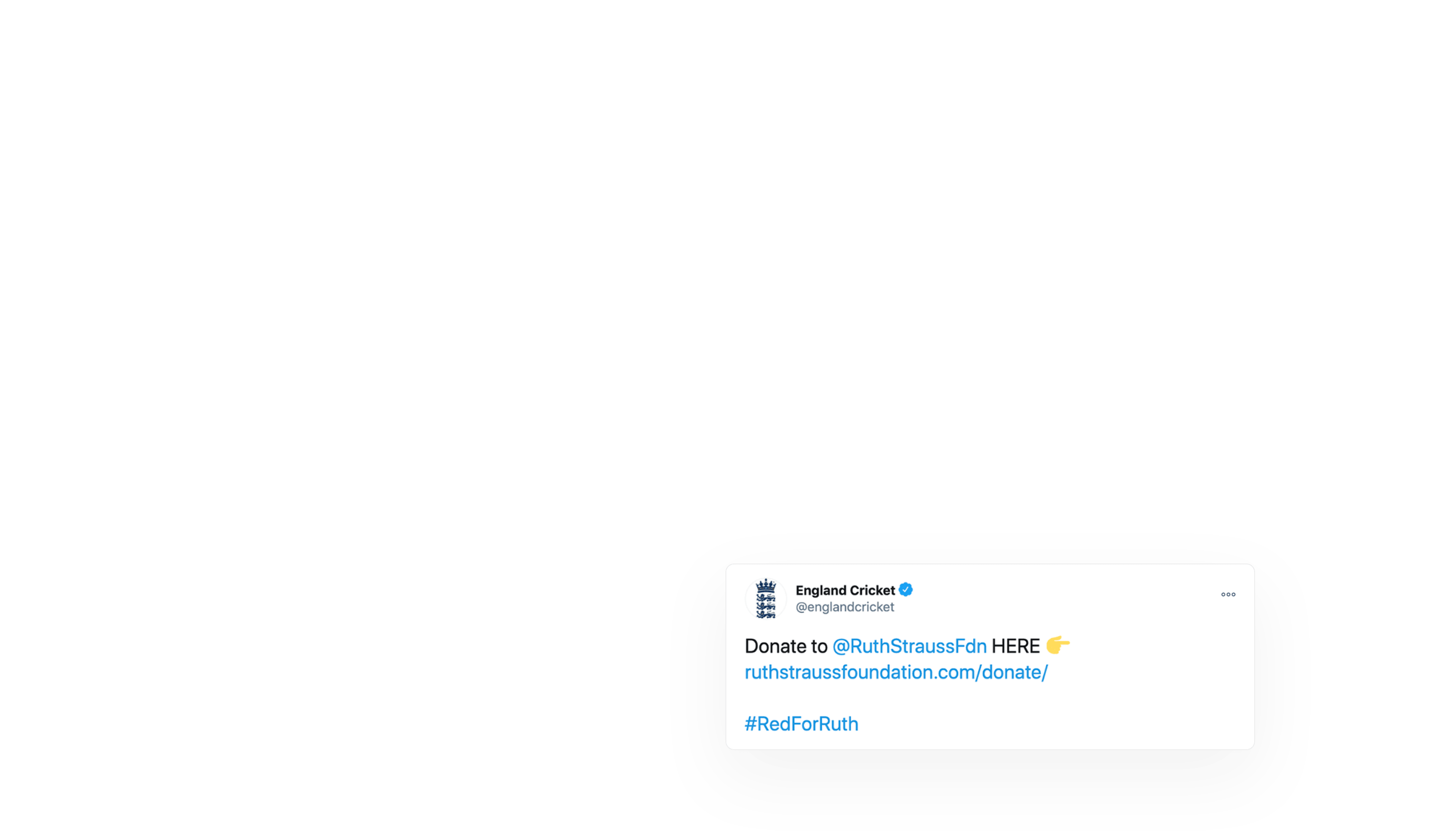 twitter feed preview