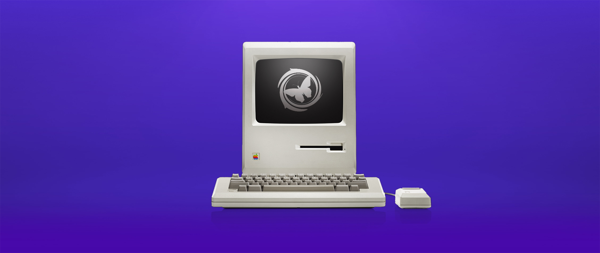 Senior Web Developer Required